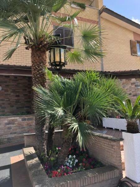 Your Home Fiumicino Ngoại thất bức ảnh